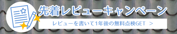 先着レビューキャンペーン